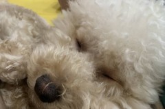 中超门将失误球飞空门引热议